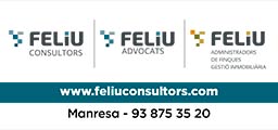001-feliu-consultors